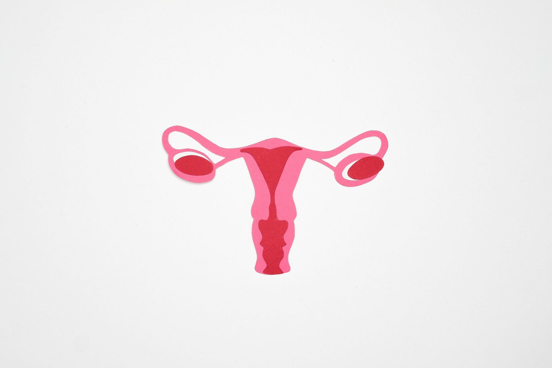 Hormones play a major role for pcos weight gain. (Image via Pexels / Nadezhda Moryak)